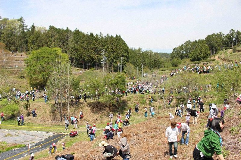 Những người tìm kiếm yokai